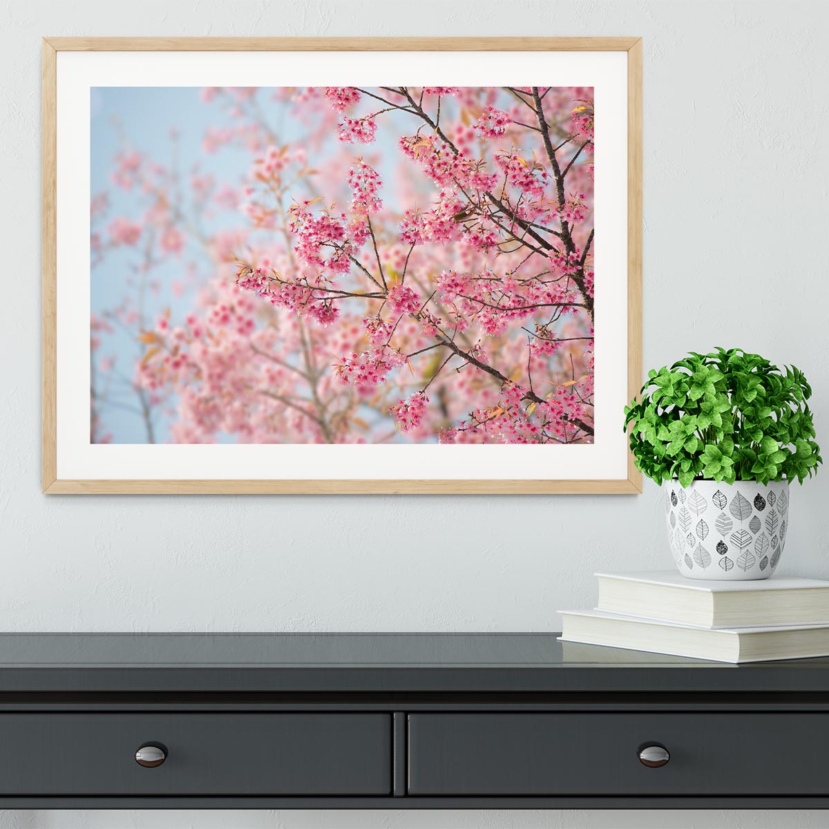 Cherry Blossom Framed Print Canvas Art Rocks