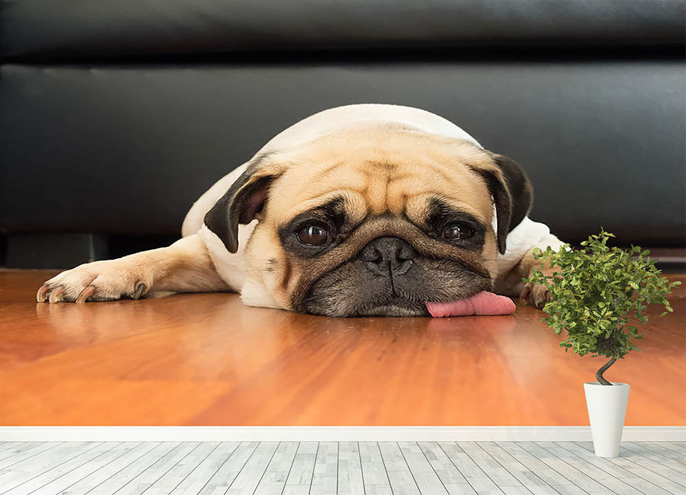 Cute small pug wallpaper by walpaperfree  Download on ZEDGE  0df4
