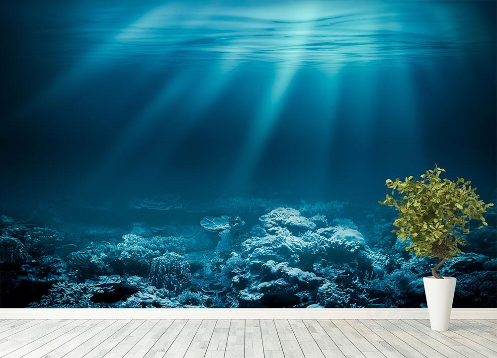Buy Stickerbrand Underwater View of Tropical Beach Wall Mural Clear Blue  Water 6124 9ft H X 12ft W Online at Low Prices in India  Amazonin