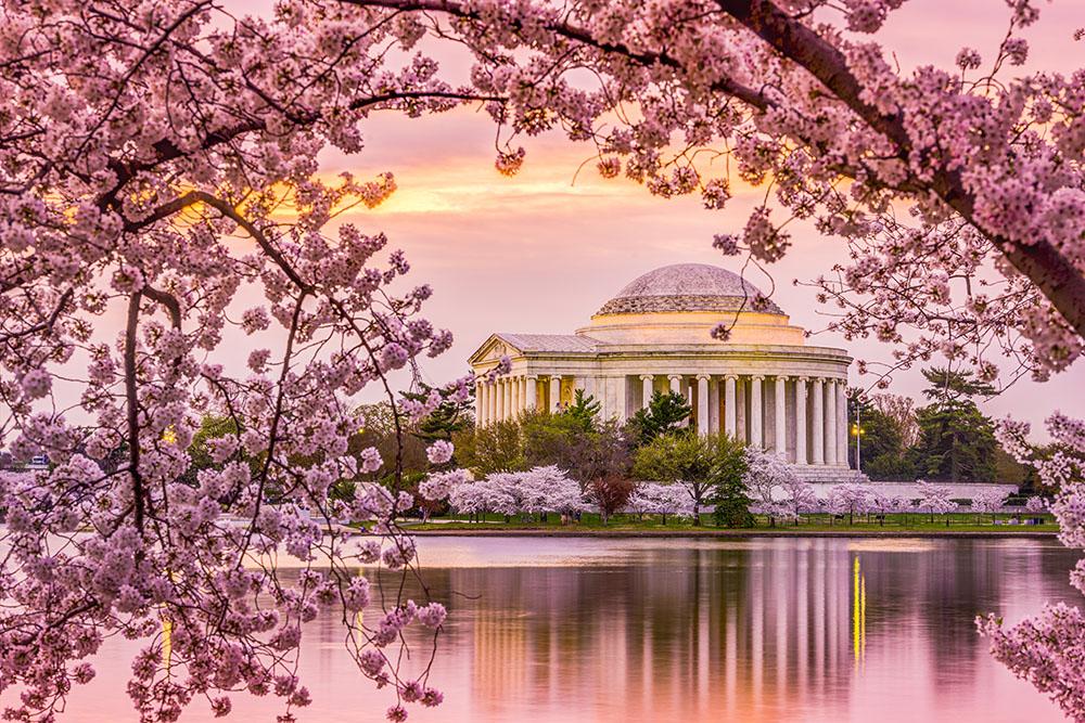 tidal basin jefferson memorial