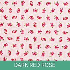 Dark Red Rose