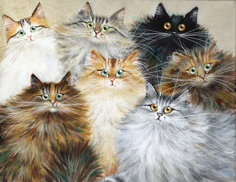 Fiona Peek 7 cats