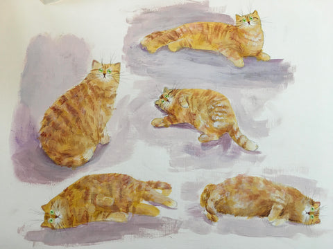 Sketches of Jasper by Kim Haskins