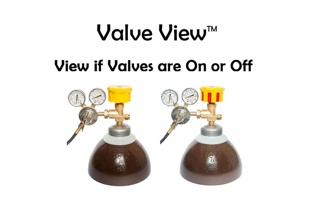 Valve View