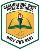 Size Guide | Carlingford-West-School