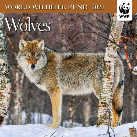 world wildlife fund calendar 2021 Wwf Wolves Mini Wall Calendar 2021 7 X 7 Ziga Media world wildlife fund calendar 2021