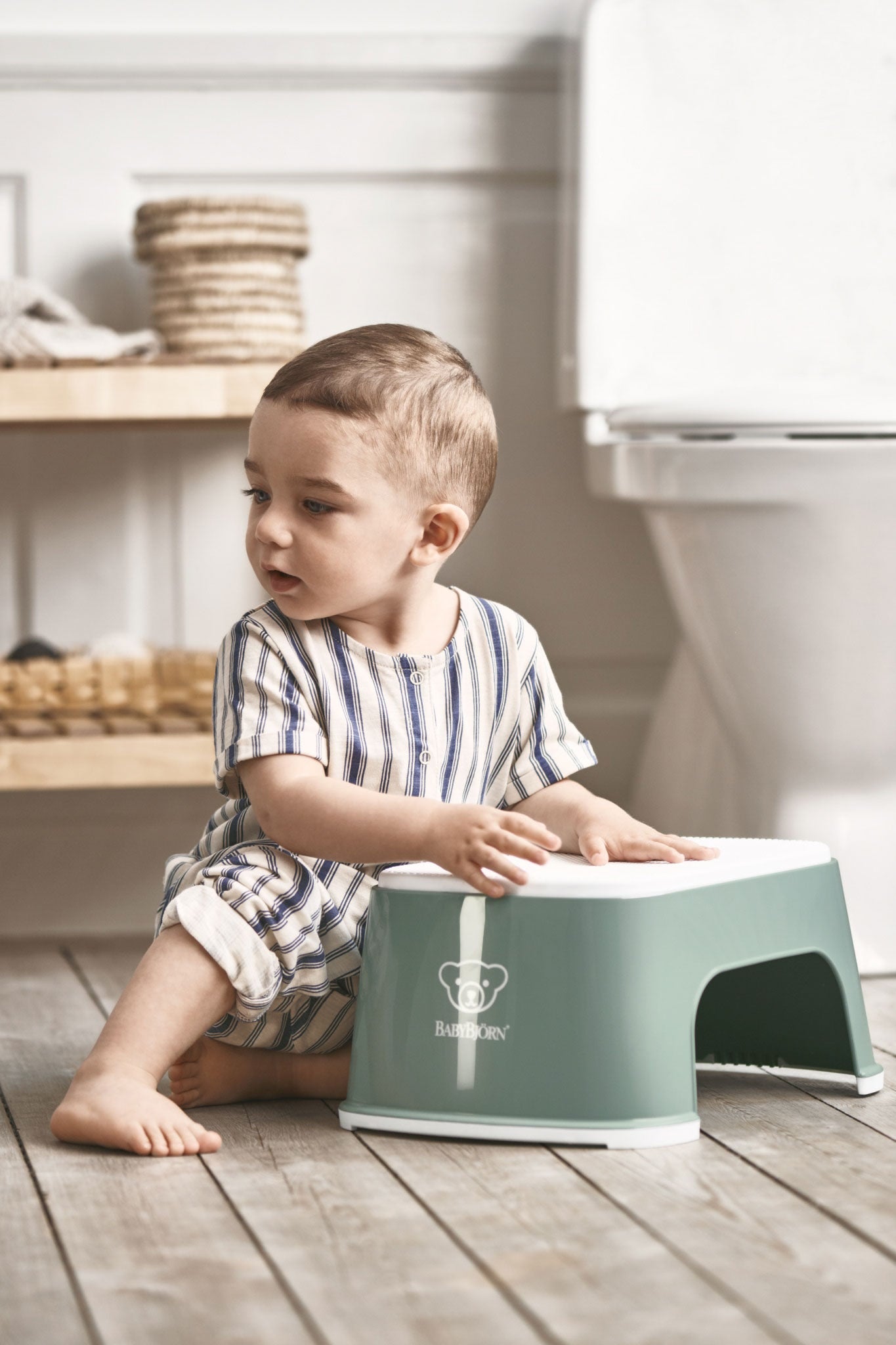 baby bjorn step stool