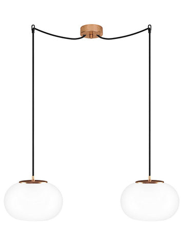 Double pendant ceiling lights