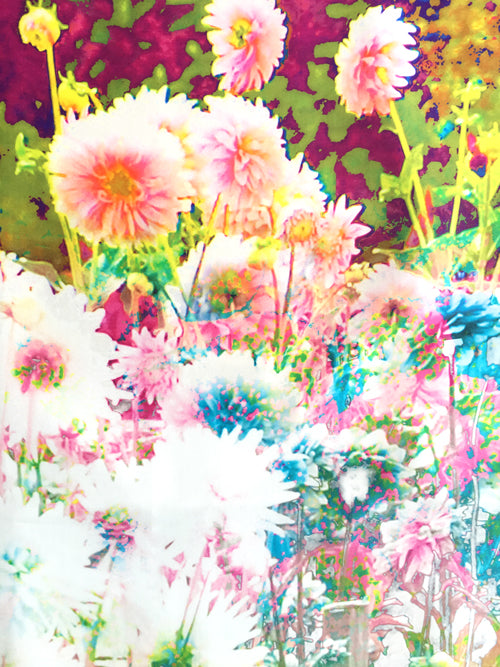 Spring-FLora-Zoom-