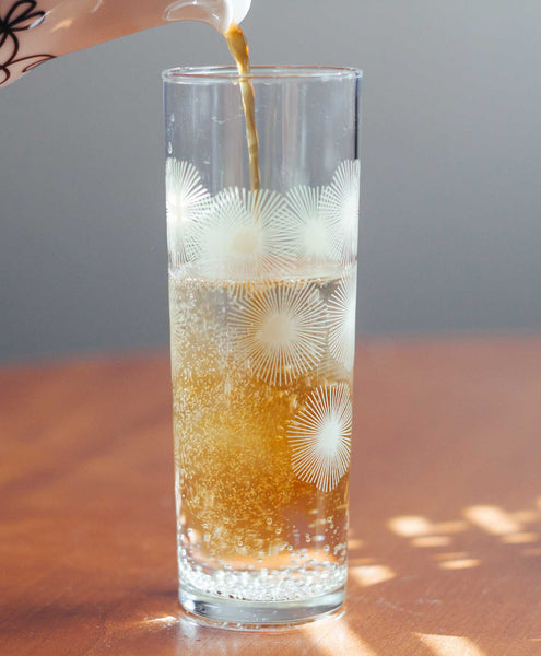 How To Make a Coffee and Tonic