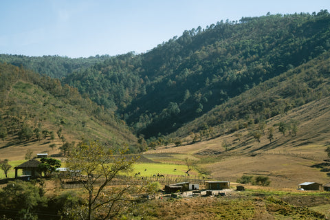 Visiting Huehuetenango Guatemala Detour coffee origin trip