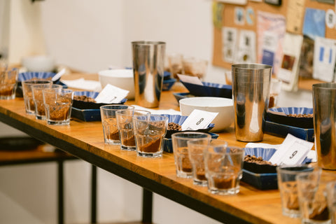 Cupping Table Primavera Guatemala city