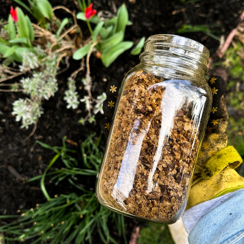 using coffee chaff from detour coffee in the garden earth day initative