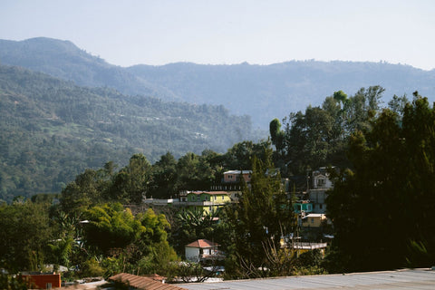 Huehutenango Guatemala visiting origin Rosendo Domingo coffee farm hillside