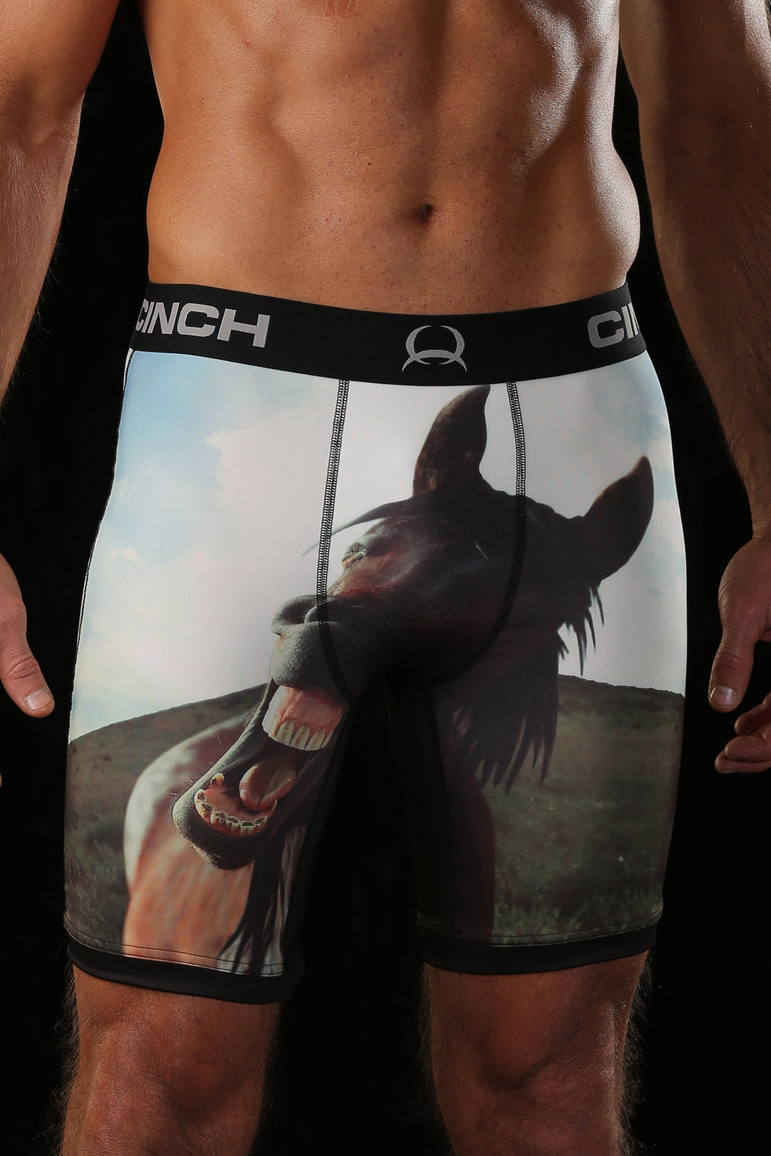 Cinch Men's 6 Inch Snacks Boxer Briefs – Lazy J Ranch Wear Stores