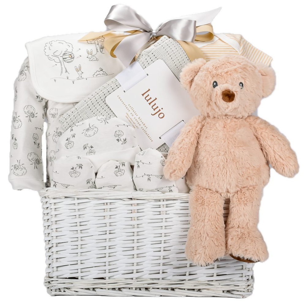 baby-gift-baskets-toronto-same-day-free-delivery-over-100