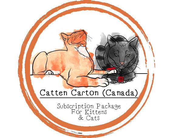 cat subscription box canada