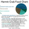 Seed Sample Pack (Sample Bags) - Hermit Crab Food - Organic - Hermit Crab - Pet Food - Hermie's Kitchen
