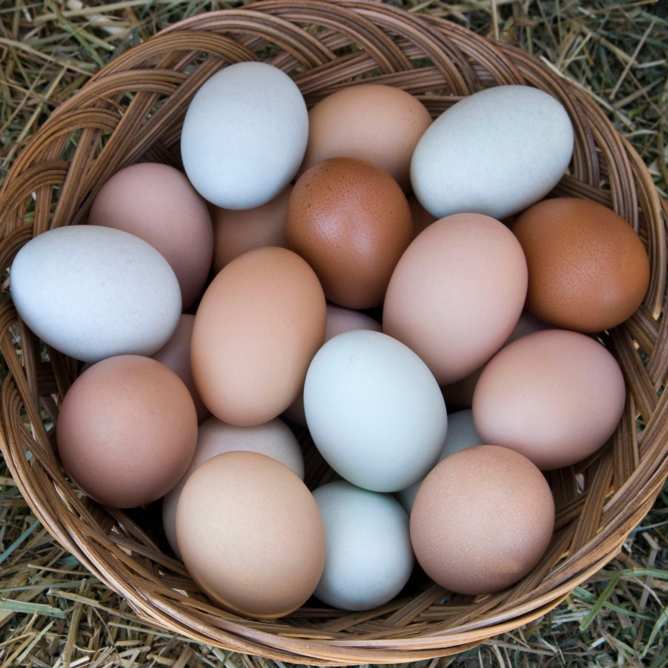 Купить инкубационное яйцо кучинской. Яйцо куриное. Яйцо домашнее куриное. Яйца Деревенские. Яйца куриные Деревенские.