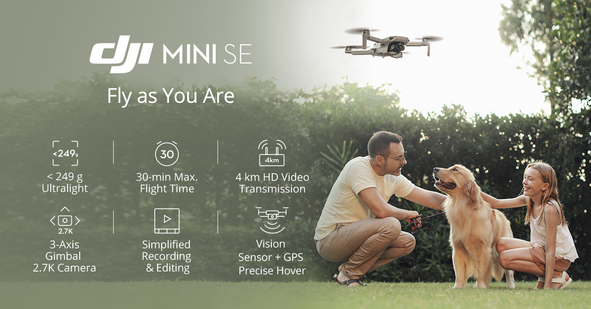 Just Announced: DJI Mini 2 SE  Make Your Moments Fly 