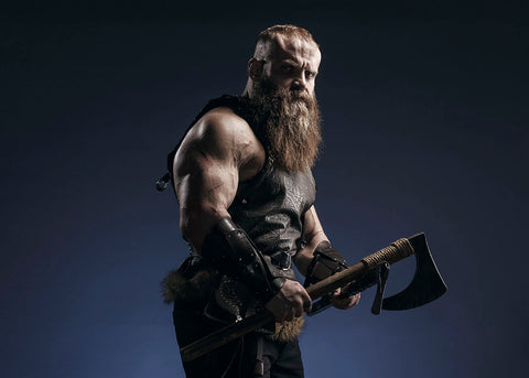 big viking beard