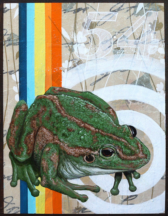 La rana #54 (The Frog) by artist Joshua Coffy – Cactus Gallery LA