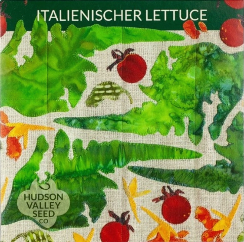 Italianischer Lettuce