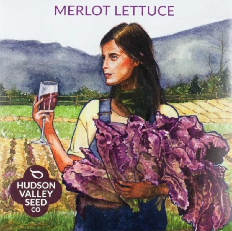 Merlot Lettuce