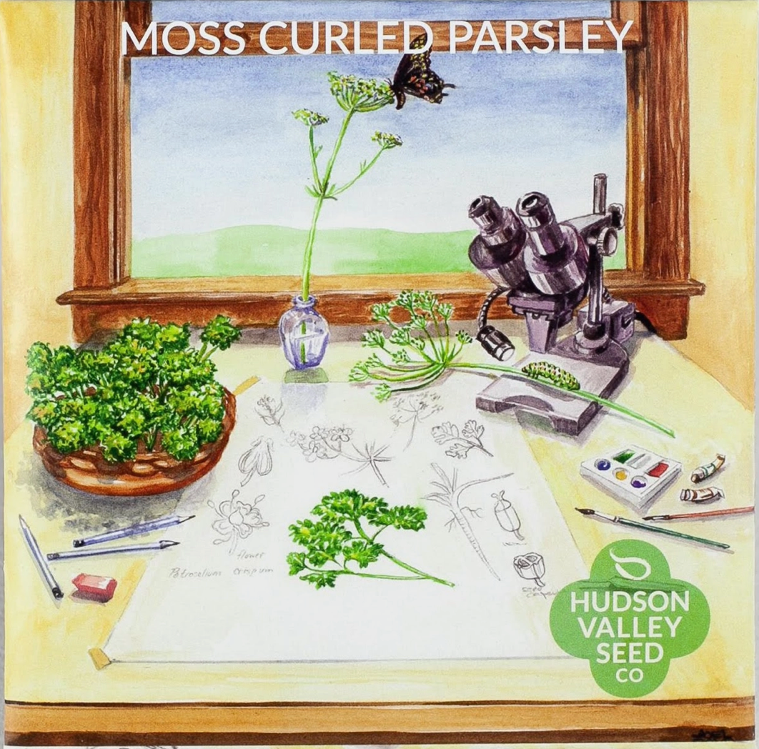 Moss Curled Parsley