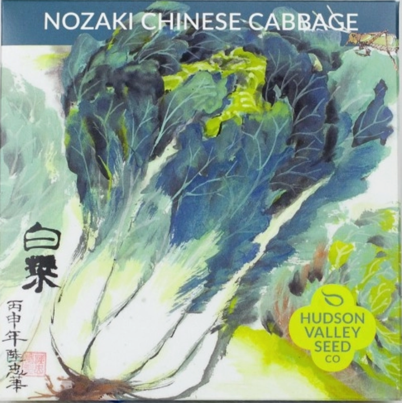 Nozaki Chinese Cabbage