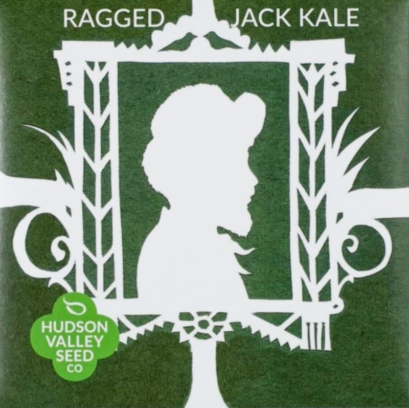 Ragged Jack Kale