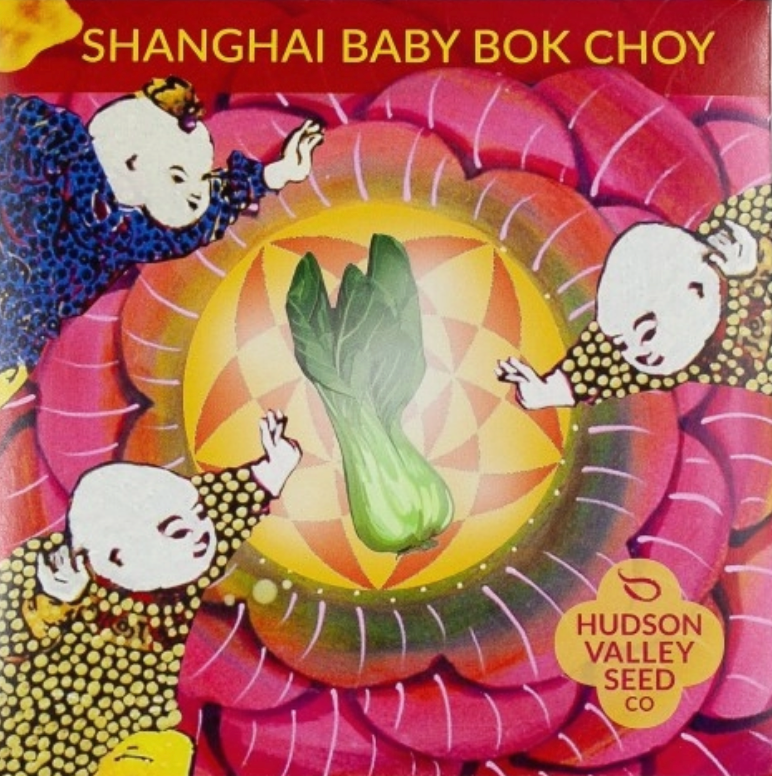 Shanghai Baby Bok Choy