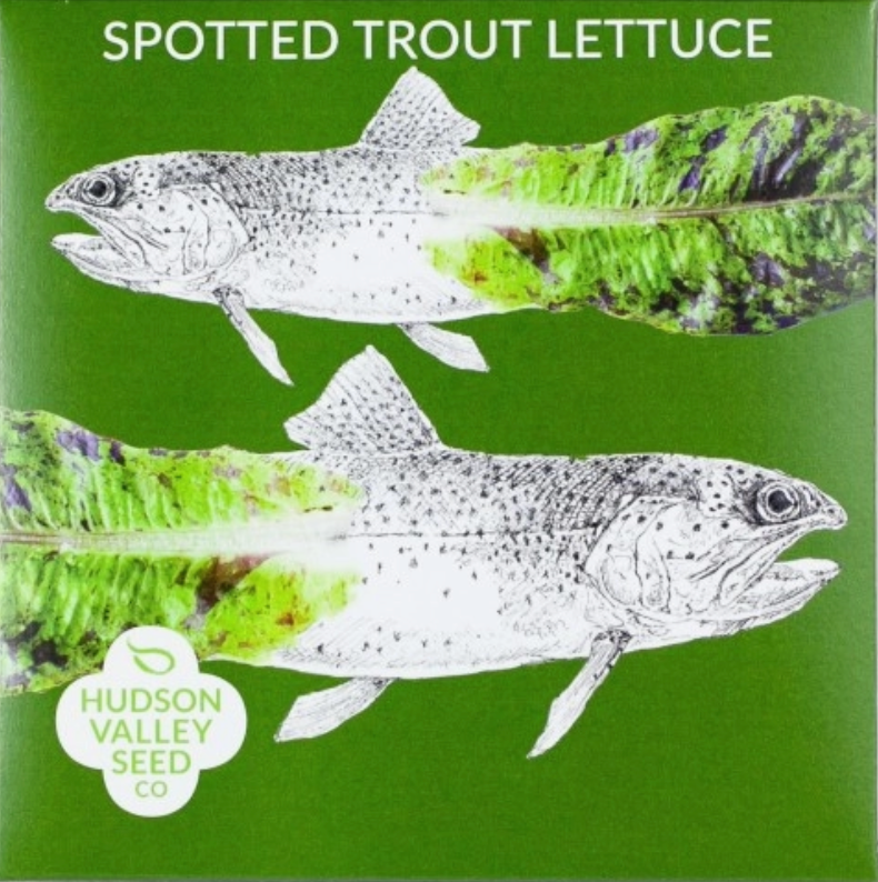 Spotted Trout Lettuce