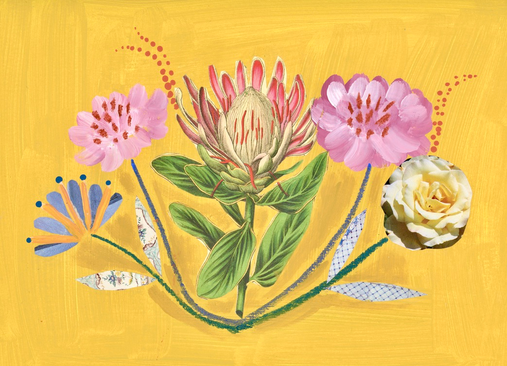 Mixed Media Blooms, Protea & Friends