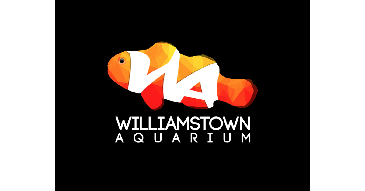 Williamstown Aquarium