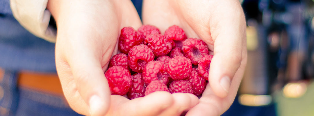 Red raspberry for the skin