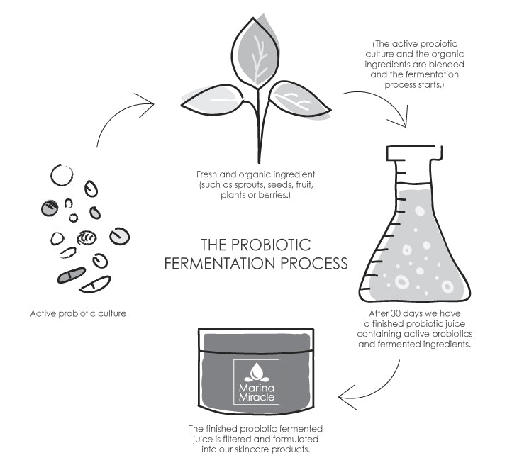 Marina Miracle fermentation process