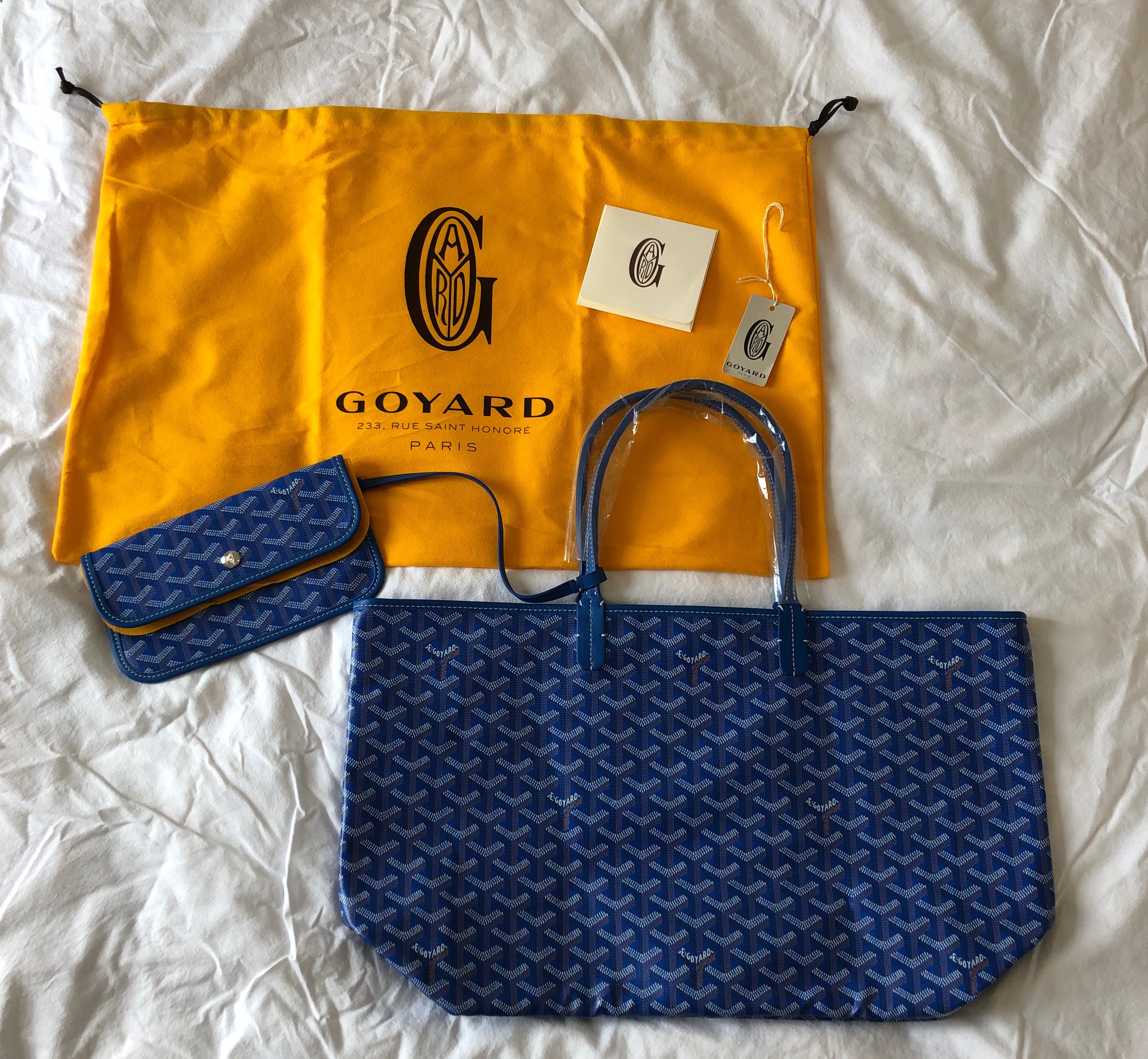 Goyard St. Louis Sky Blue PM (NWT 