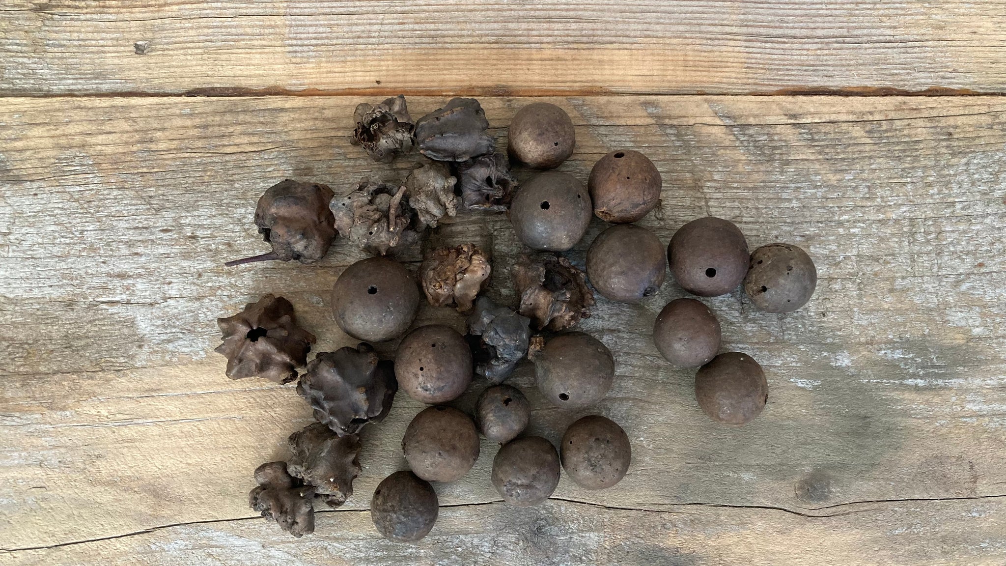 A pile of oak galls sitting on a wooden table
