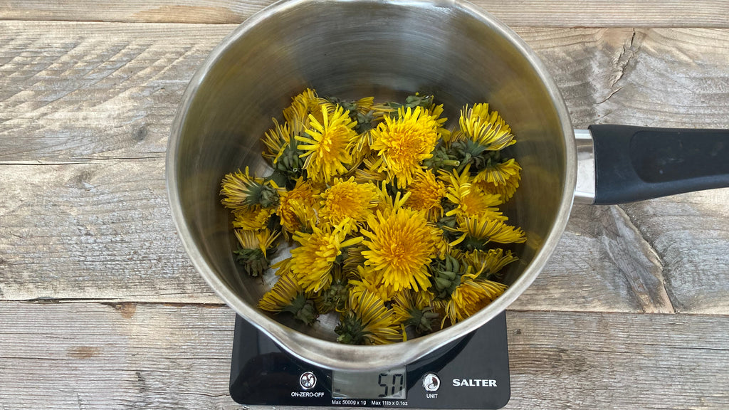 Dandelions in dye pot