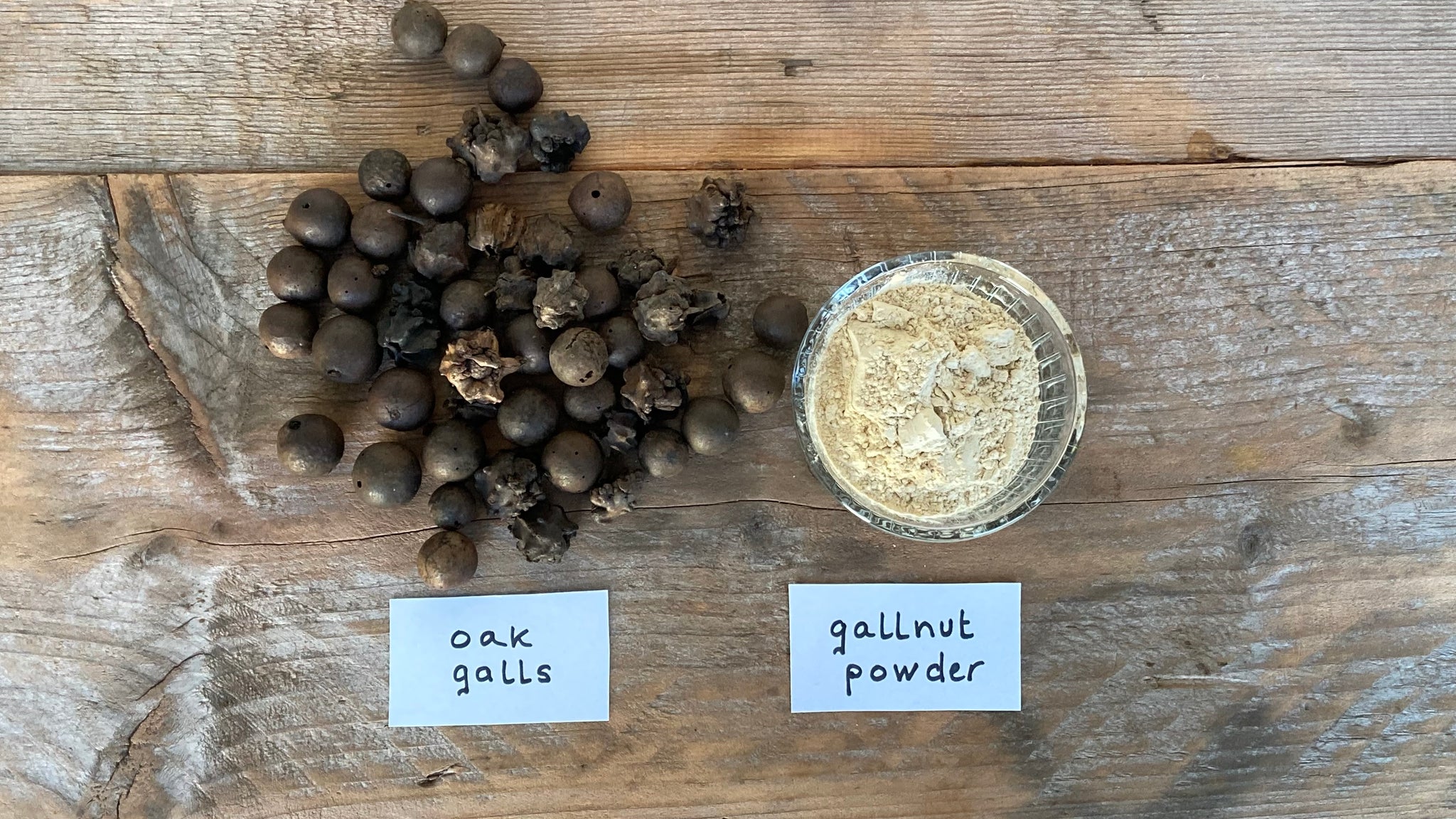 Oak galls and gallnut extract powder