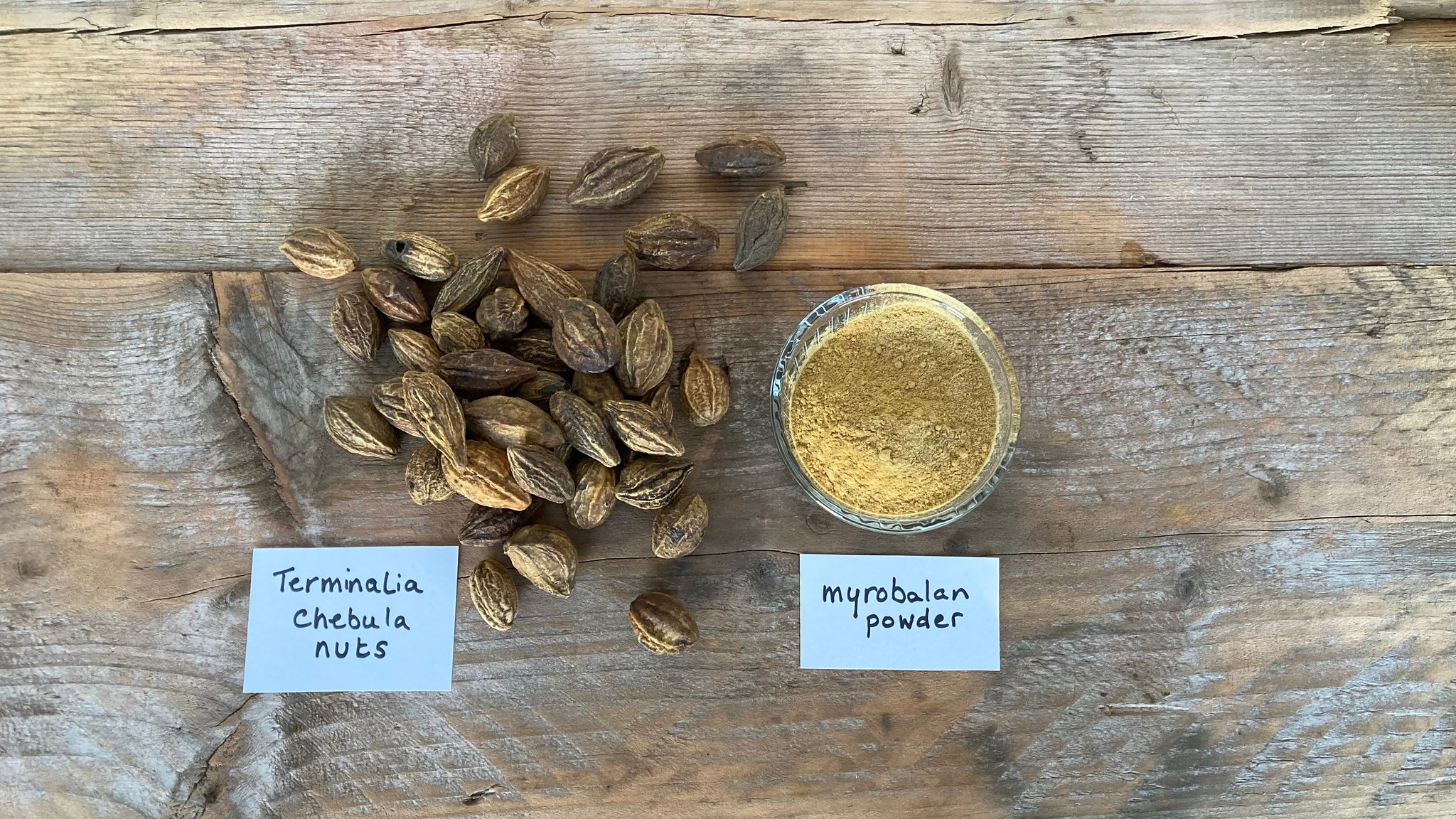 Terminalia chebula nuts and myrobalan powder