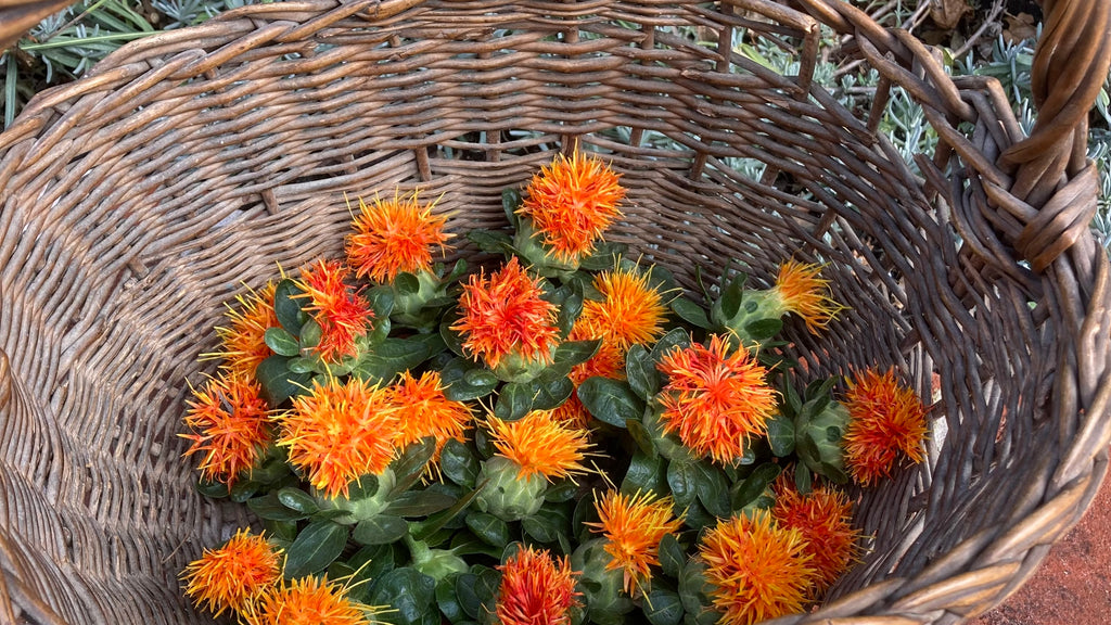 Safflowers in a basket