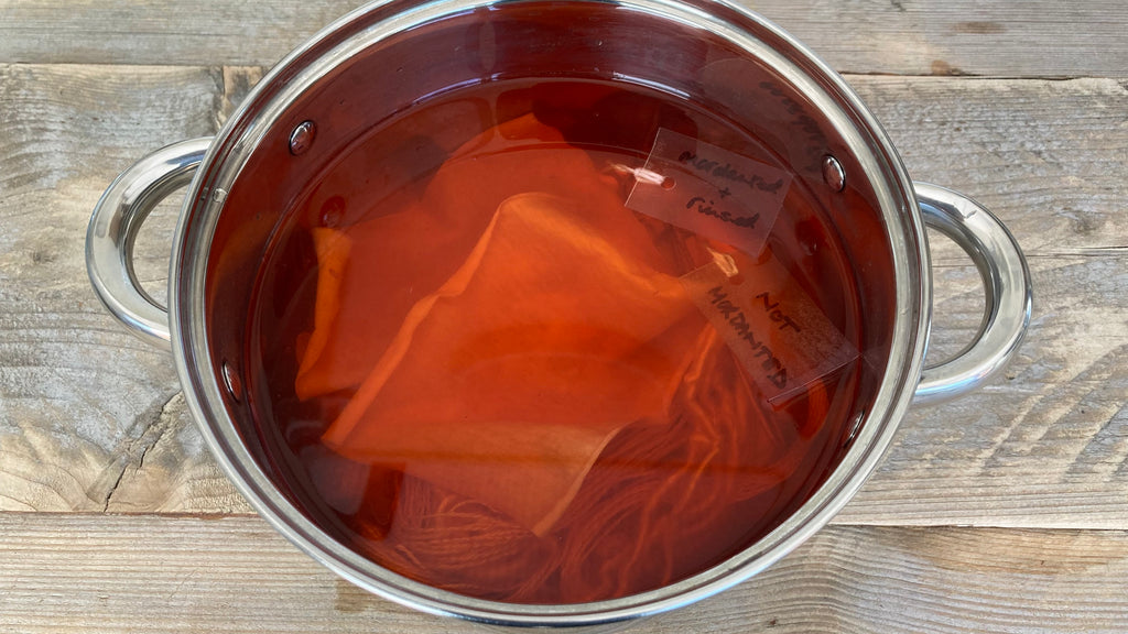 Fibres in safflower dye bath