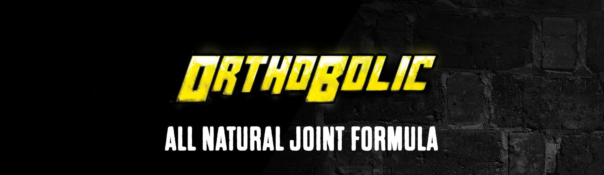 OrthoBolic Title Banner