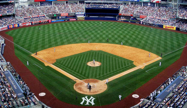 new york yankees, new york, baseball, mlb