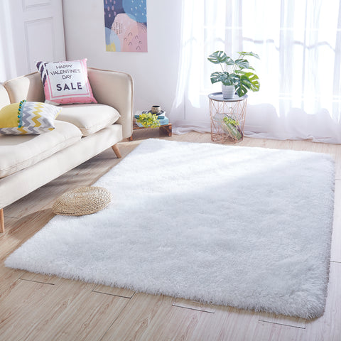 Fluffy Shaggy Area Rug,Ultra Soft Area Rug Fluffy Carpet,2x3 Feet