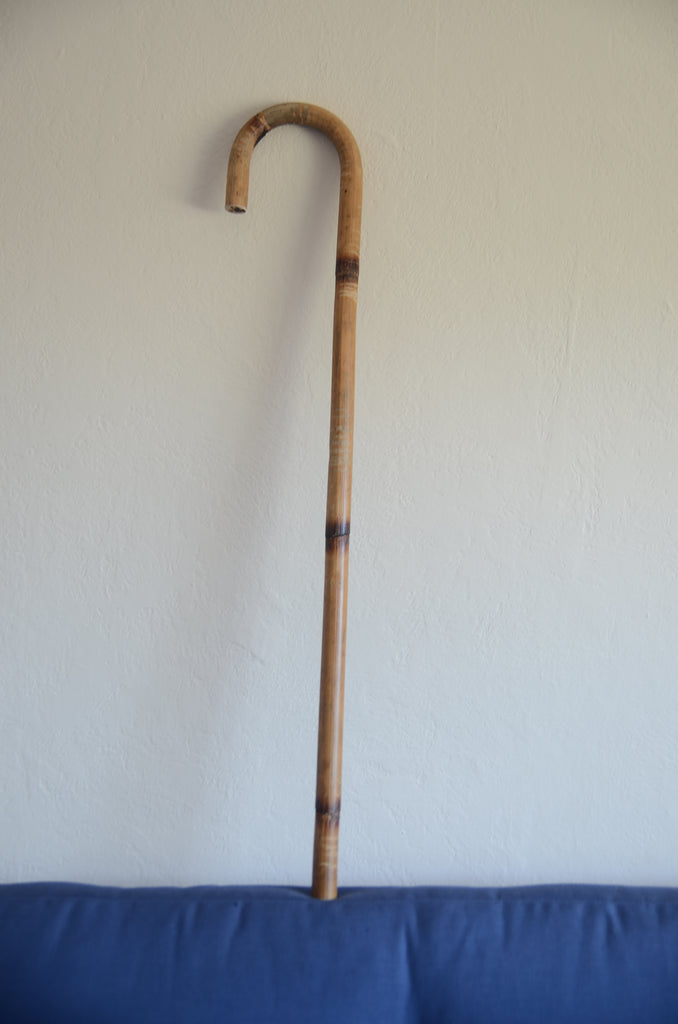 self defense walking canes