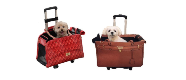 How to Choose the Best Dog Carrier for Your Canine Friend