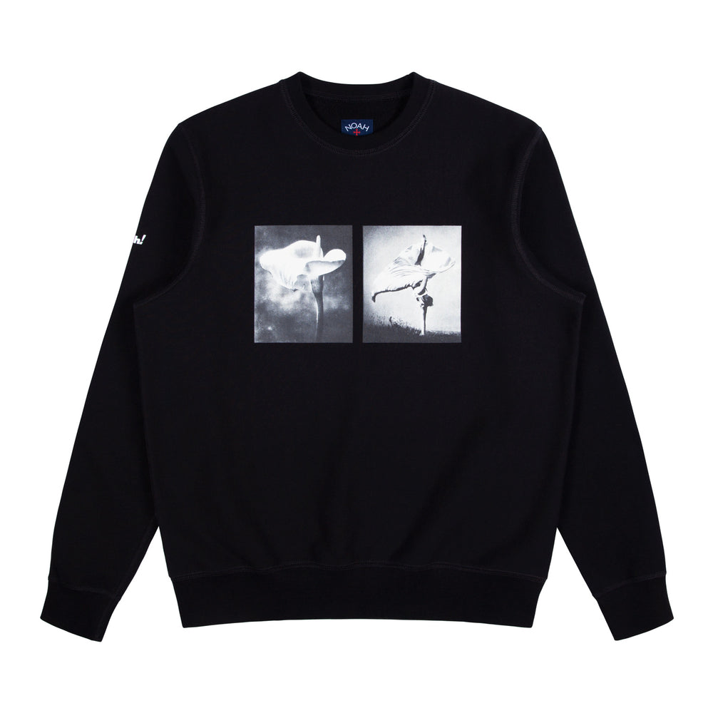 noah crewneck